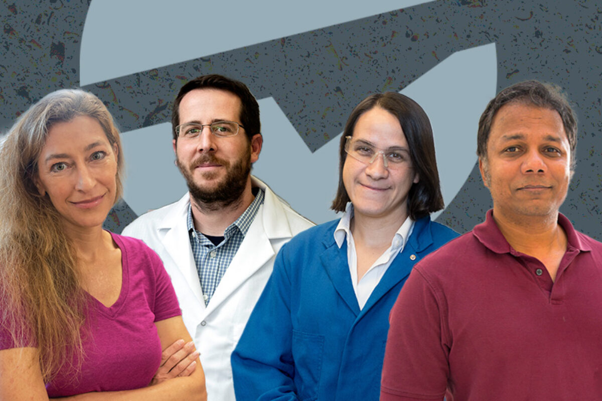 Four scientists smile in front of a gray background